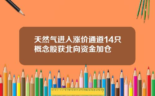 天然气进入涨价通道14只概念股获北向资金加仓