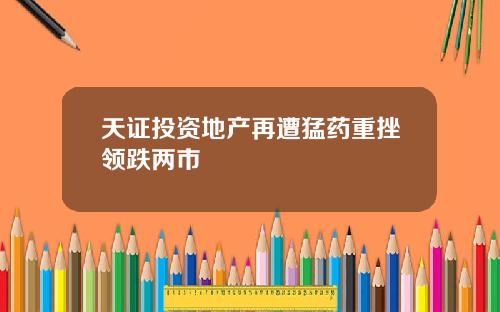天证投资地产再遭猛药重挫领跌两市