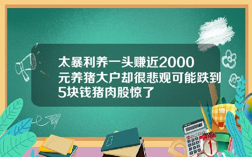 太暴利养一头赚近2000元养猪大户却很悲观可能跌到5块钱猪肉股惊了