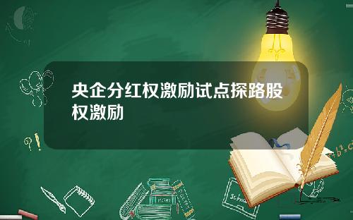央企分红权激励试点探路股权激励