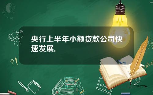 央行上半年小额贷款公司快速发展.