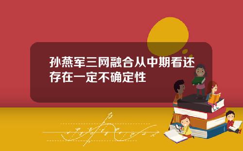 孙燕军三网融合从中期看还存在一定不确定性
