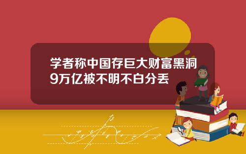 学者称中国存巨大财富黑洞9万亿被不明不白分丢