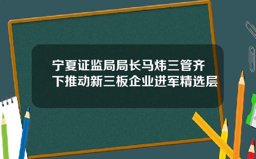 宁夏证监局局长马炜三管齐下推动新三板企业进军精选层