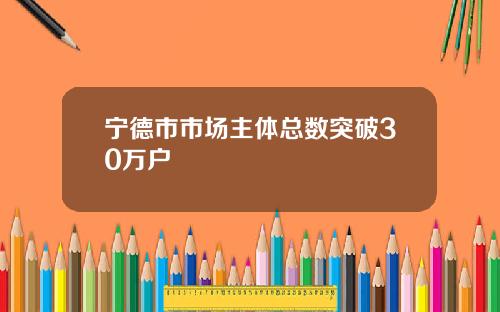 宁德市市场主体总数突破30万户