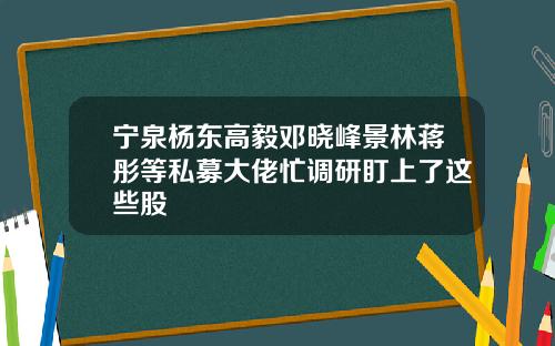 宁泉杨东高毅邓晓峰景林蒋彤等私募大佬忙调研盯上了这些股