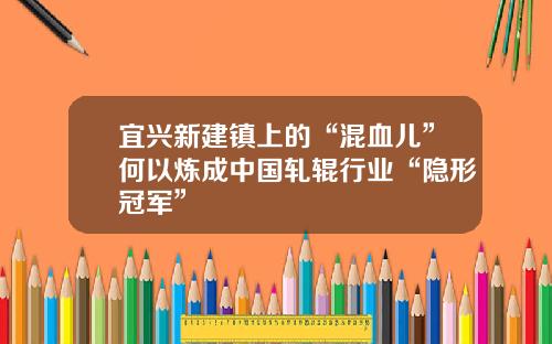 宜兴新建镇上的“混血儿”何以炼成中国轧辊行业“隐形冠军”