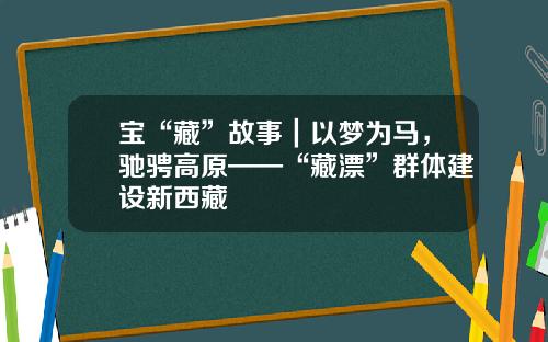 宝“藏”故事｜以梦为马，驰骋高原——“藏漂”群体建设新西藏