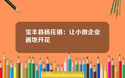 宝丰县杨庄镇：让小微企业遍地开花