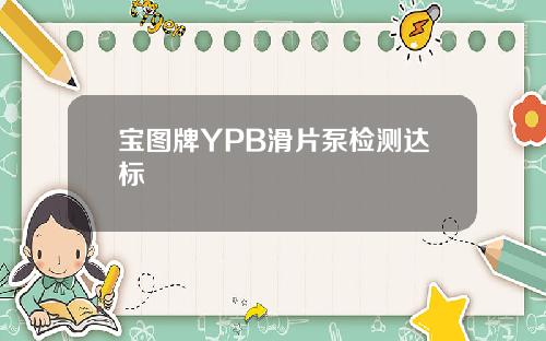 宝图牌YPB滑片泵检测达标