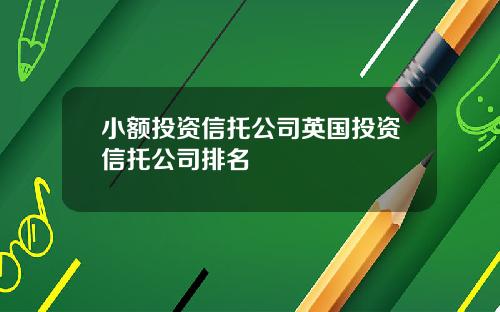 小额投资信托公司英国投资信托公司排名