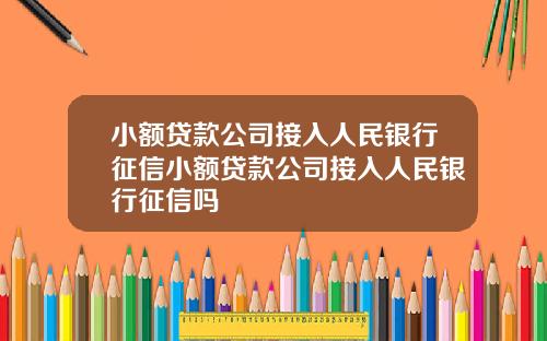 小额贷款公司接入人民银行征信小额贷款公司接入人民银行征信吗