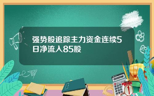 强势股追踪主力资金连续5日净流入85股