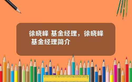 徐晓峰 基金经理，徐晓峰 基金经理简介