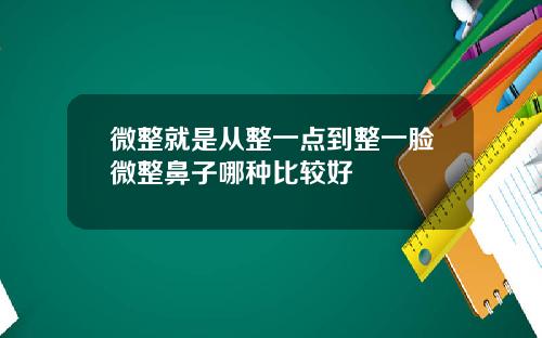 微整就是从整一点到整一脸微整鼻子哪种比较好