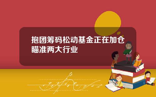 抱团筹码松动基金正在加仓瞄准两大行业