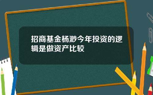 招商基金杨渺今年投资的逻辑是做资产比较