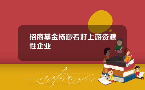 招商基金杨渺看好上游资源性企业