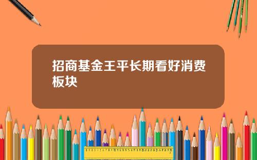 招商基金王平长期看好消费板块