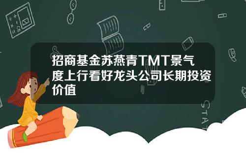 招商基金苏燕青TMT景气度上行看好龙头公司长期投资价值