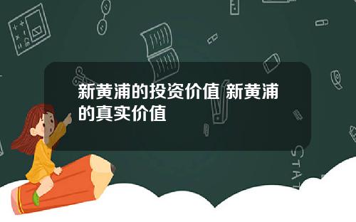 新黄浦的投资价值 新黄浦的真实价值