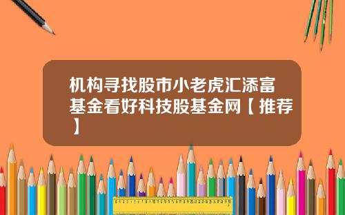 机构寻找股市小老虎汇添富基金看好科技股基金网【推荐】