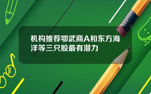 机构推荐鄂武商A和东方海洋等三只股最有潜力