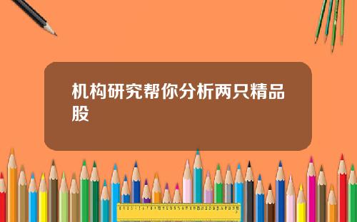 机构研究帮你分析两只精品股