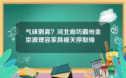 气味刺鼻？河北廊坊霸州金崇源理容家具被关停取缔
