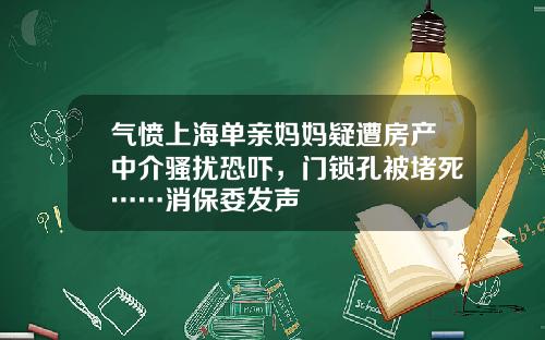 气愤上海单亲妈妈疑遭房产中介骚扰恐吓，门锁孔被堵死……消保委发声