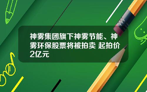 神雾集团旗下神雾节能、神雾环保股票将被拍卖 起拍价2亿元