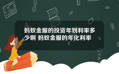 蚂蚁金服的投资年划利率多少啊 蚂蚁金服的年化利率