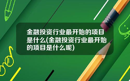金融投资行业最开始的项目是什么(金融投资行业最开始的项目是什么呢)