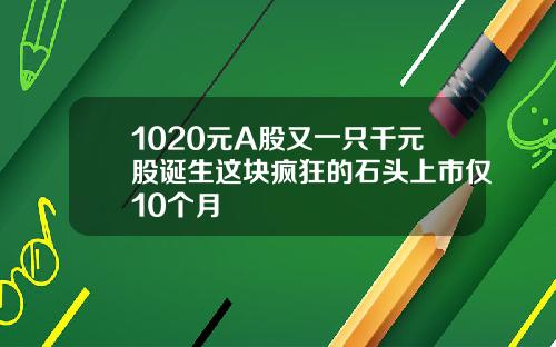 1020元A股又一只千元股诞生这块疯狂的石头上市仅10个月