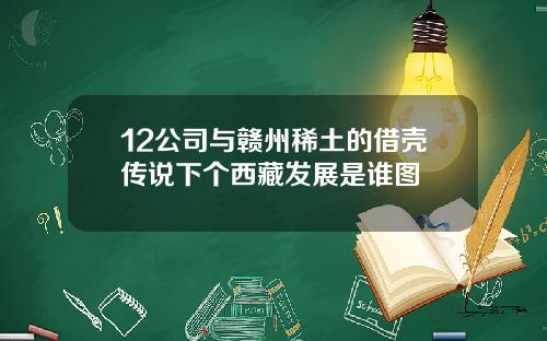 12公司与赣州稀土的借壳传说下个西藏发展是谁图