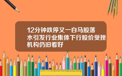 12分钟跌停又一白马股落水引发行业集体下行股价受挫机构仍旧看好