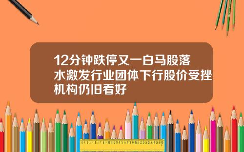 12分钟跌停又一白马股落水激发行业团体下行股价受挫机构仍旧看好