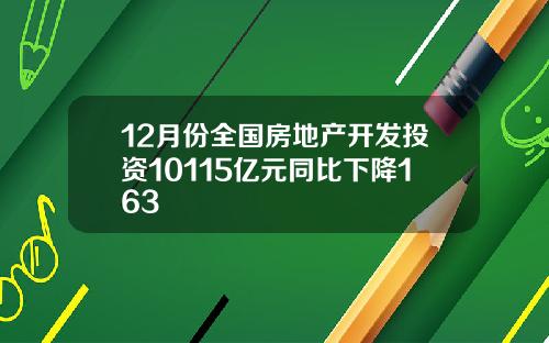 12月份全国房地产开发投资10115亿元同比下降163