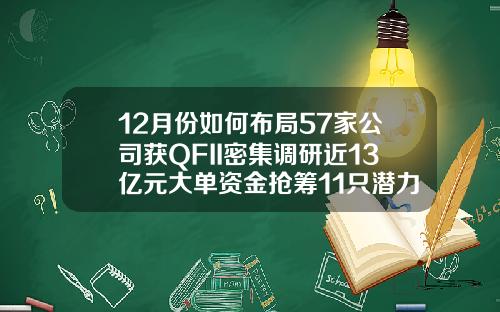 12月份如何布局57家公司获QFII密集调研近13亿元大单资金抢筹11只潜力股