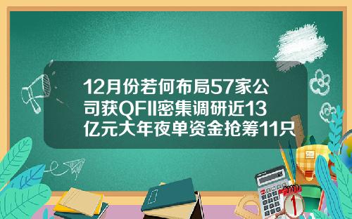 12月份若何布局57家公司获QFII密集调研近13亿元大年夜单资金抢筹11只潜力股