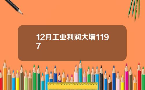 12月工业利润大增1197