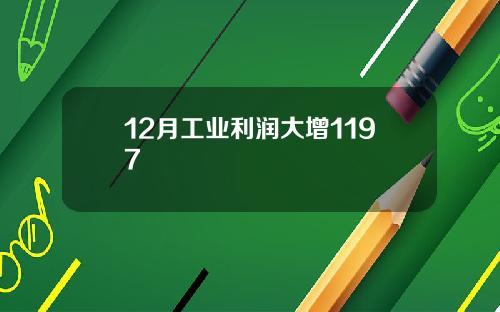 12月工业利润大增1197