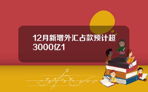 12月新增外汇占款预计超3000亿1