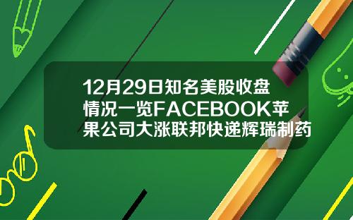 12月29日知名美股收盘情况一览FACEBOOK苹果公司大涨联邦快递辉瑞制药收跌