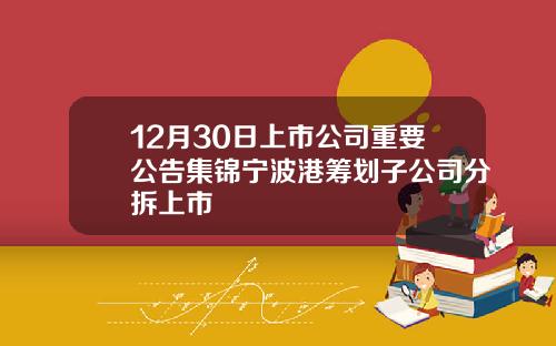 12月30日上市公司重要公告集锦宁波港筹划子公司分拆上市