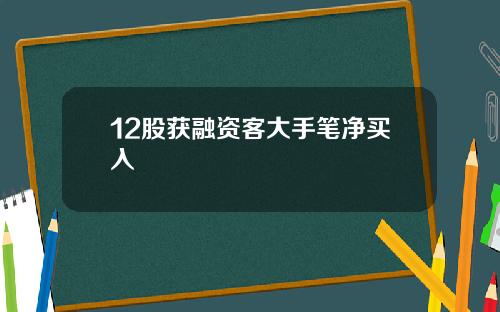 12股获融资客大手笔净买入