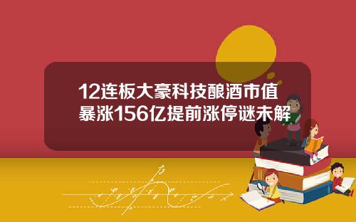12连板大豪科技酿酒市值暴涨156亿提前涨停谜未解