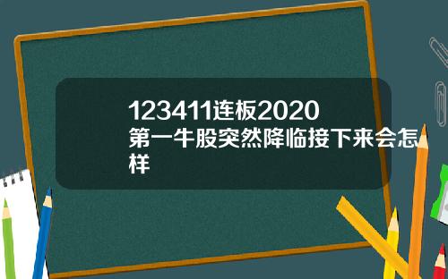 123411连板2020第一牛股突然降临接下来会怎样