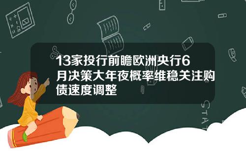 13家投行前瞻欧洲央行6月决策大年夜概率维稳关注购债速度调整