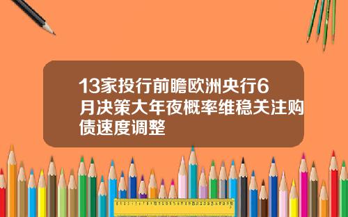 13家投行前瞻欧洲央行6月决策大年夜概率维稳关注购债速度调整